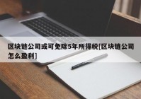 区块链公司或可免除5年所得税[区块链公司怎么盈利]